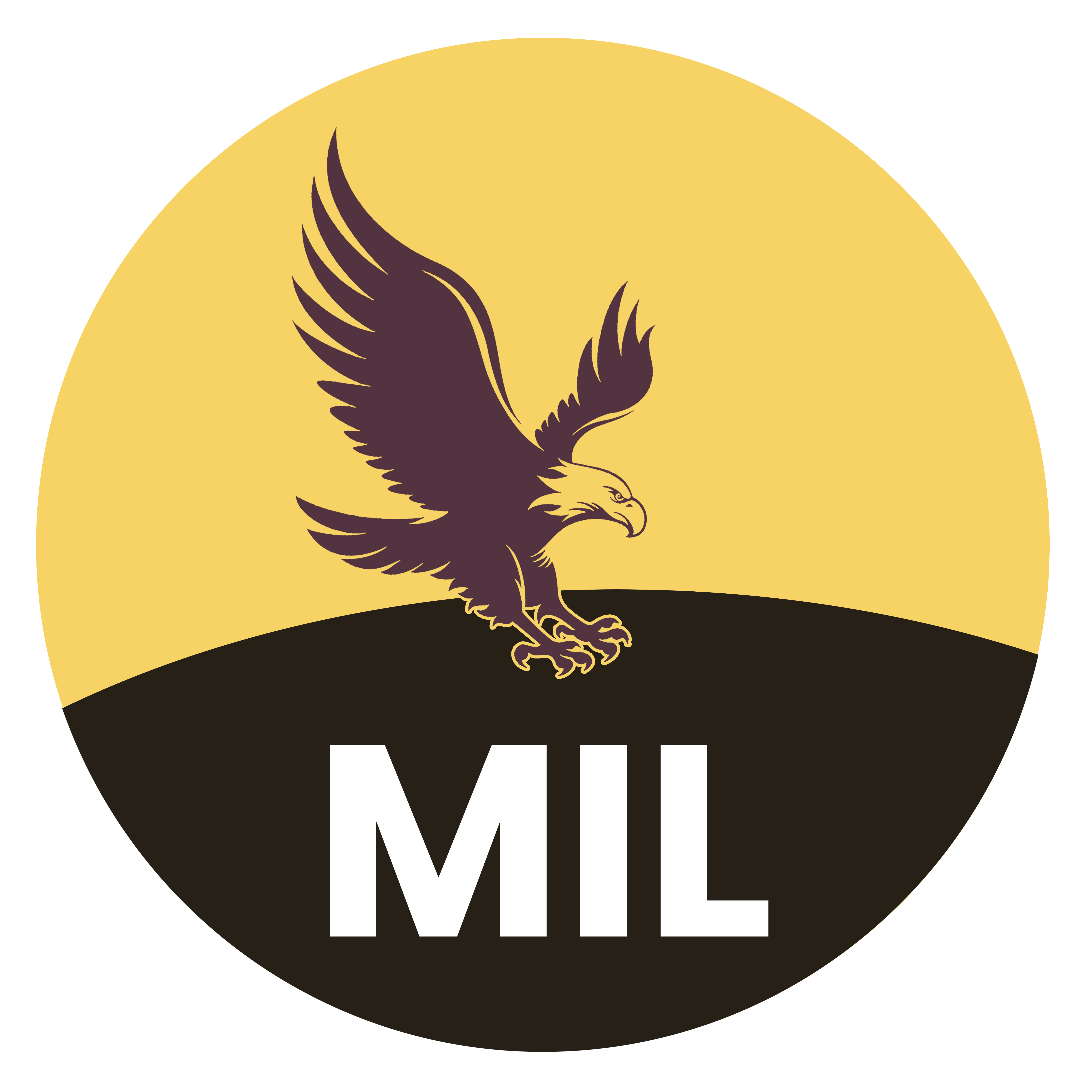 tanzania_mica_logo
